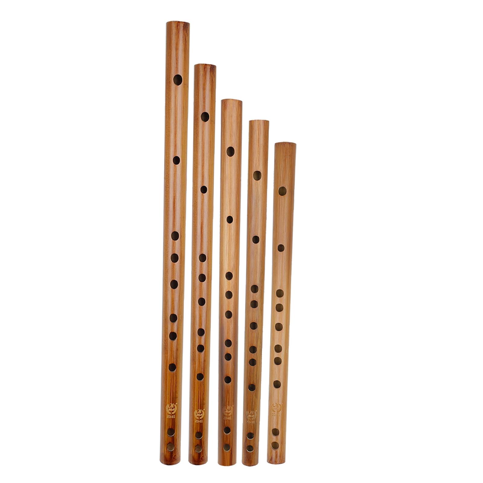 Musical Instrument From India - هدية عيد ميلاد فريدة من نوعها