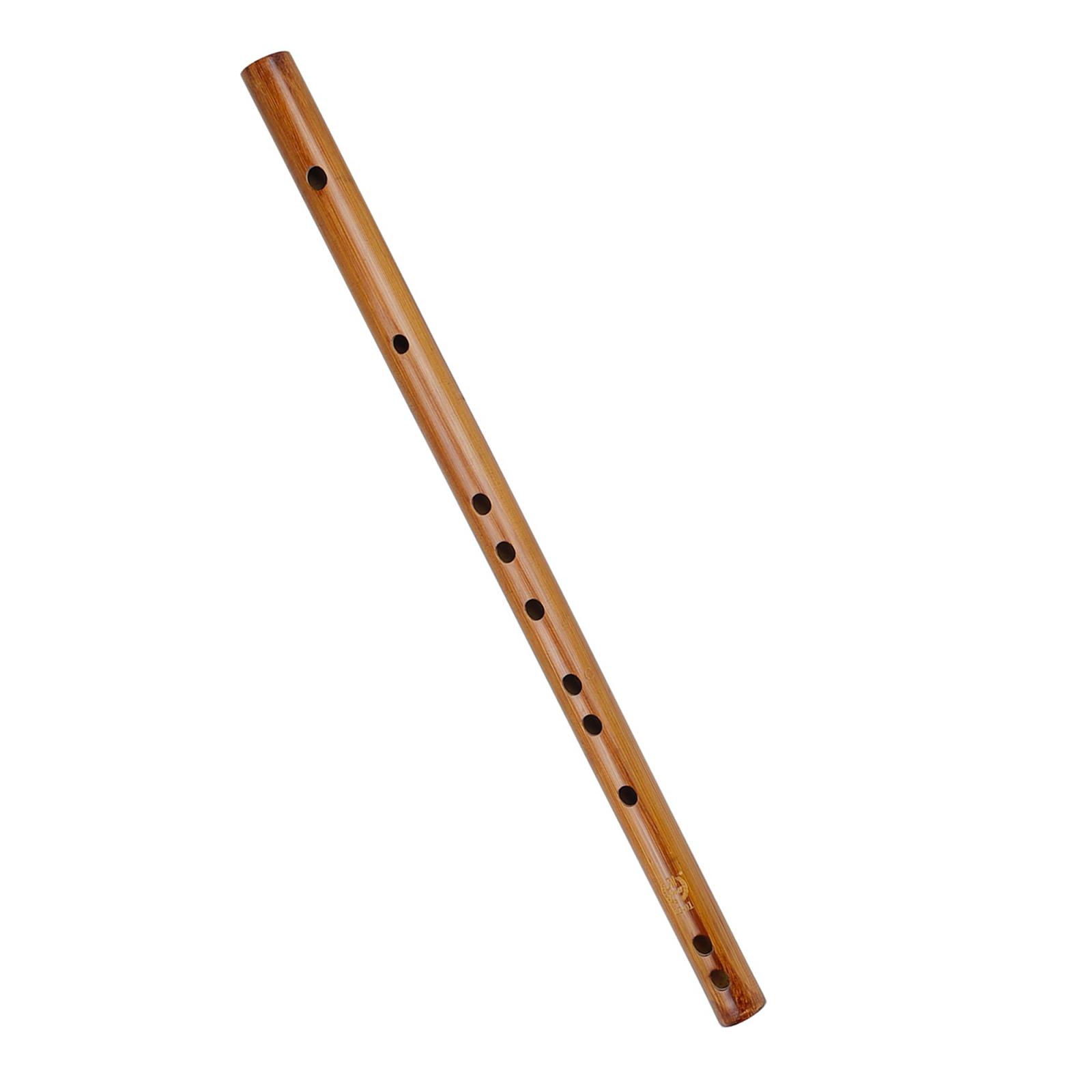 هدية عيد ميلاد فريدة من نوعها  - مراجعة Musical Instrument From India وسعره