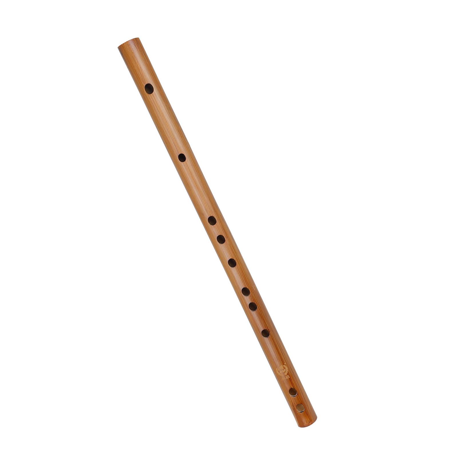 هدية عيد ميلاد فريدة من نوعها  - مراجعة Musical Instrument From India وسعره