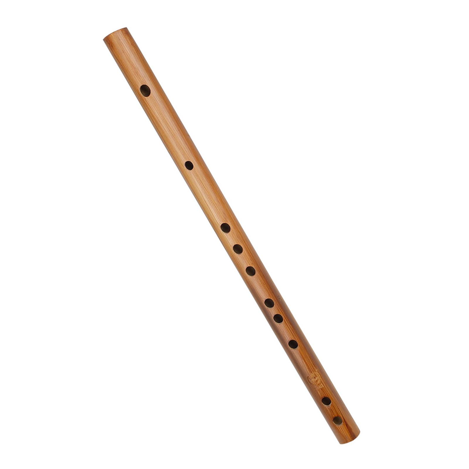 هدية عيد ميلاد فريدة من نوعها  - مراجعة Musical Instrument From India وسعره