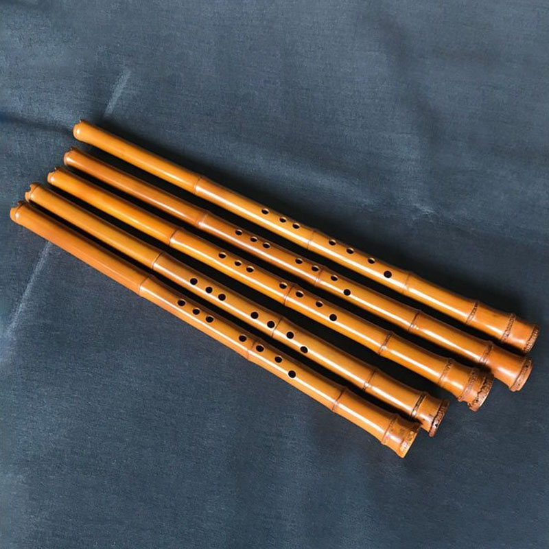 8 حفرة الخيزران شياو الأداء ال - مراجعة Musical Instrument Xiao وسعره