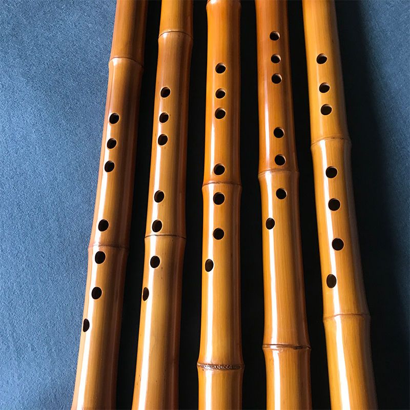 8 حفرة الخيزران شياو الأداء ال - مراجعة Musical Instrument Xiao وسعره